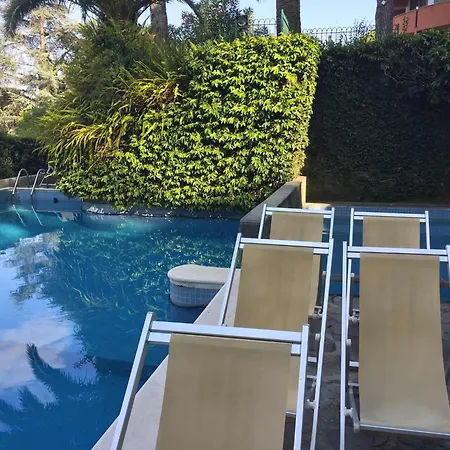 Eurotel 406 ראפאלו